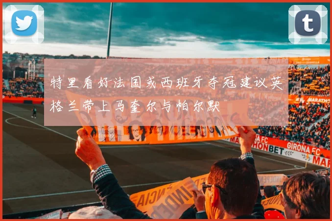 特里看好法国或西班牙夺冠建议英格兰带上马奎尔与帕尔默