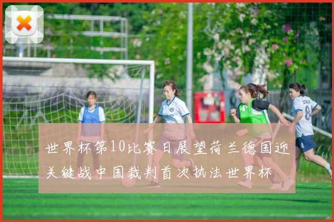 世界杯第10比赛日展望荷兰德国迎关键战中国裁判首次执法世界杯